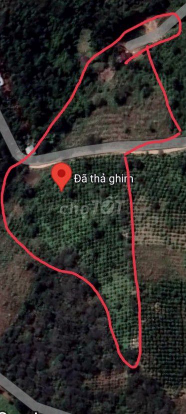 Bán 1,7Ha đất rẫy ĐăkHa Dăk Glong , 200m đường bê tông, giá 650 triệu