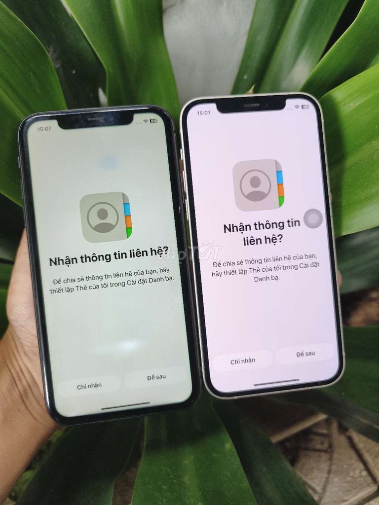 Apple iPhone 11 64GB Phản quang zin 93%. Mua bán Điện thoại tại Quận Ninh Kiều Cần Thơ được đăng bởi sang hình 1