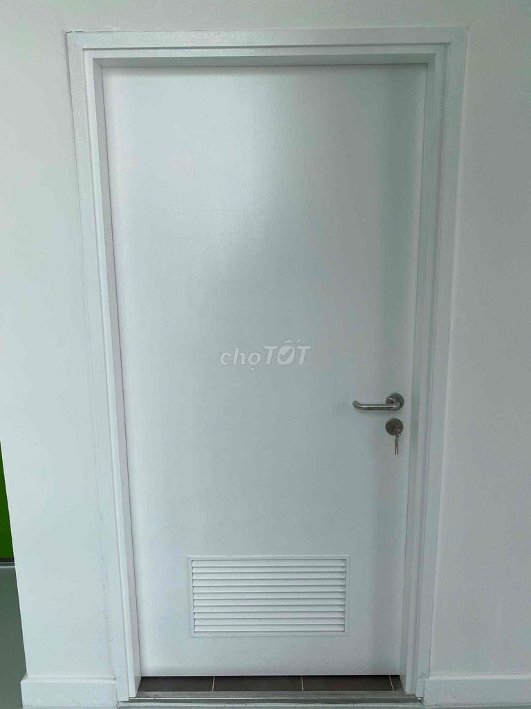 Cửa thép vân gỗ màu sáng - SaiGonDoor