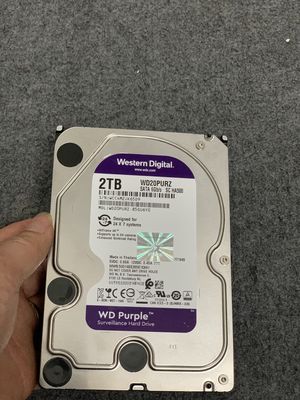 Ổ cứng HDD Western 2TB Tím 3.5 inch BH 24 tháng