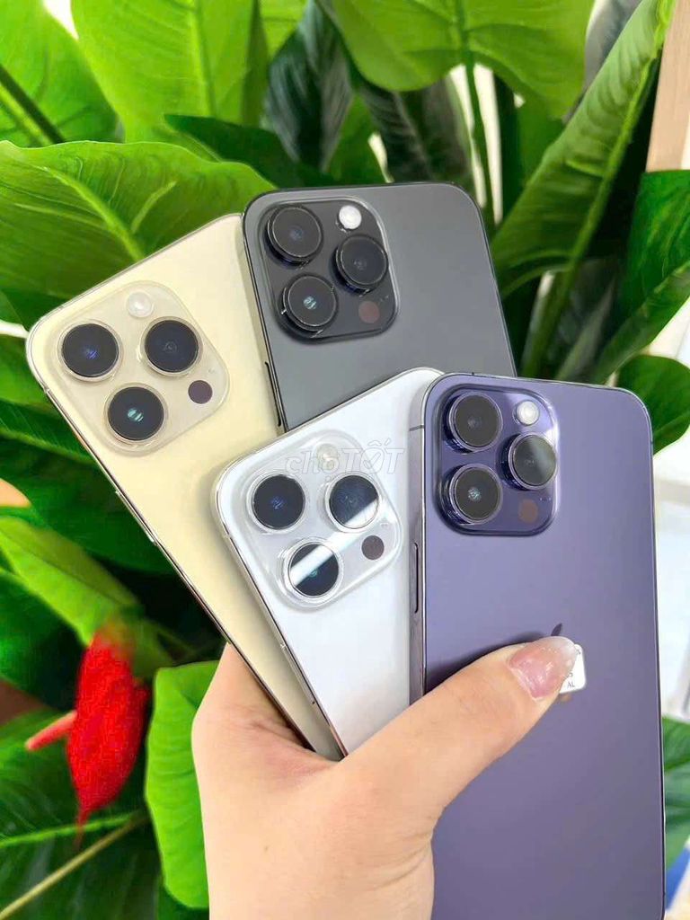 iPhone 14 Pro Max Vàng Đen Trắng Tím. Mua bán Điện thoại tại Quận Bình Tân Tp Hồ Chí Minh được đăng bởi Phan Thanh Minh Luân hình 1