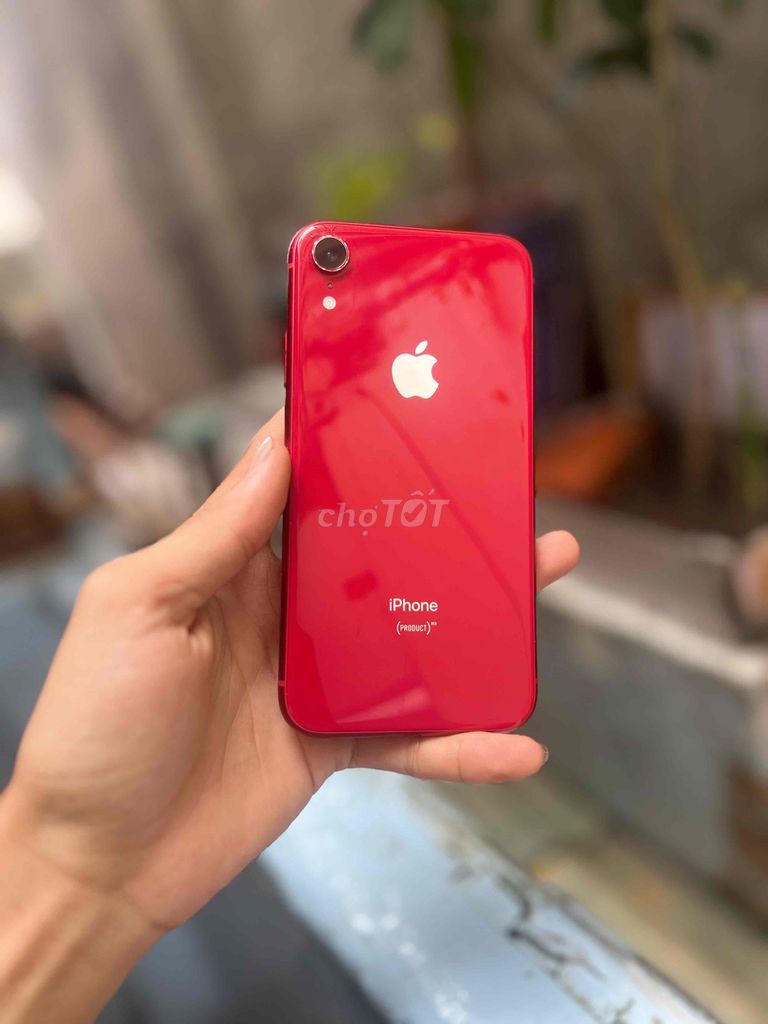 iPhone XR 64GB lock đỏ. Mua bán Điện thoại tại Quận 6 Tp Hồ Chí Minh được đăng bởi cẩm phát hình 1