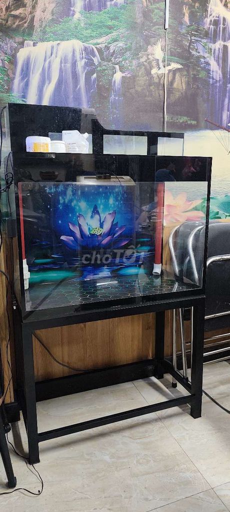 Hồ cá 80x60x40cm Lọc tràn đã sử dụng. Mua bán Phụ kiện, Thức ăn, Dịch vụ tại Quận 3 Tp Hồ Chí Minh được đăng bởi nguyên ân hình 1