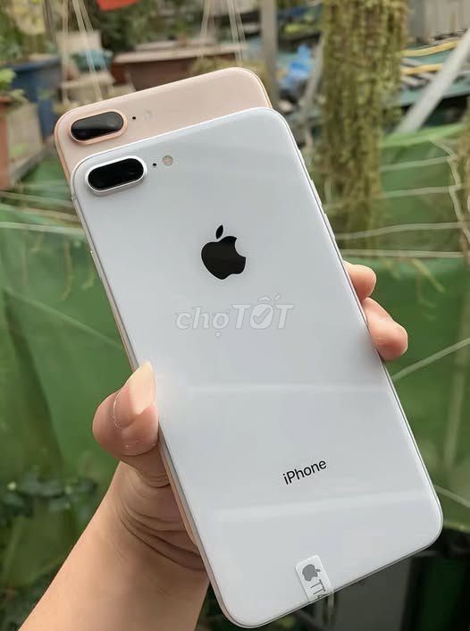 Apple iPhone 8 Plus Trắng Đã sử dụng. Mua bán Điện thoại tại Quận 1 Tp Hồ Chí Minh được đăng bởi Hội Đồ Điện Tử hình 1