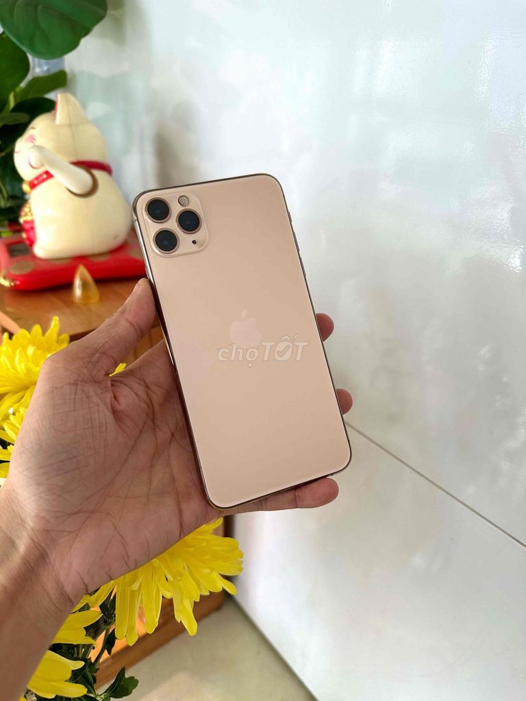 Apple iPhone 11 Pro Max 64GB Vàng. Mua bán Điện thoại tại Thành phố Long Xuyên An Giang được đăng bởi phong LX  hình 1