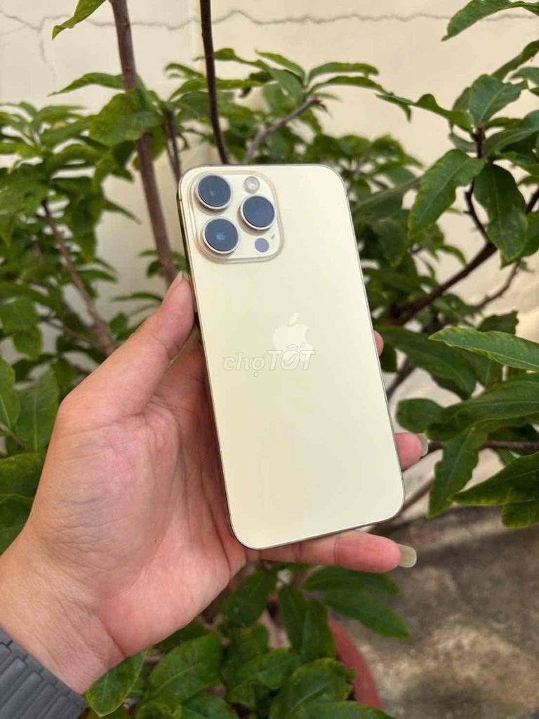 Apple iPhone 14 Pro Max 256GB Vàng. Mua bán Điện thoại tại Thành phố Vũng Tàu Bà Rịa - Vũng Tàu được đăng bởi BINHHYK  hình 1