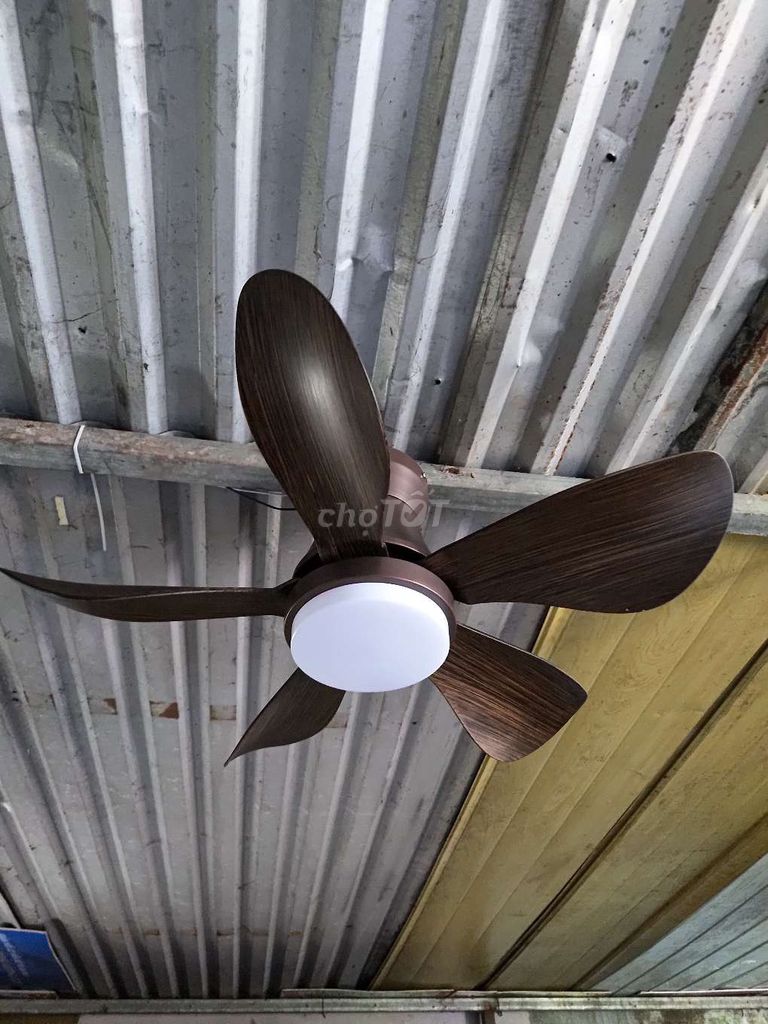 Quạt trần đèn nhiều mẫu. Mua bán Quạt tại Huyện Sóc Sơn Hà Nội được đăng bởi thao shiper hình 1