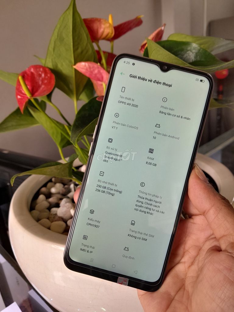 Ra nhanh Oppo A9 2020 máy đẹp 8/256gb