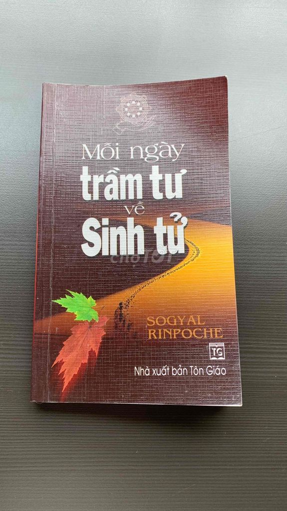 Mỗi ngày trầm tư về sinh tử