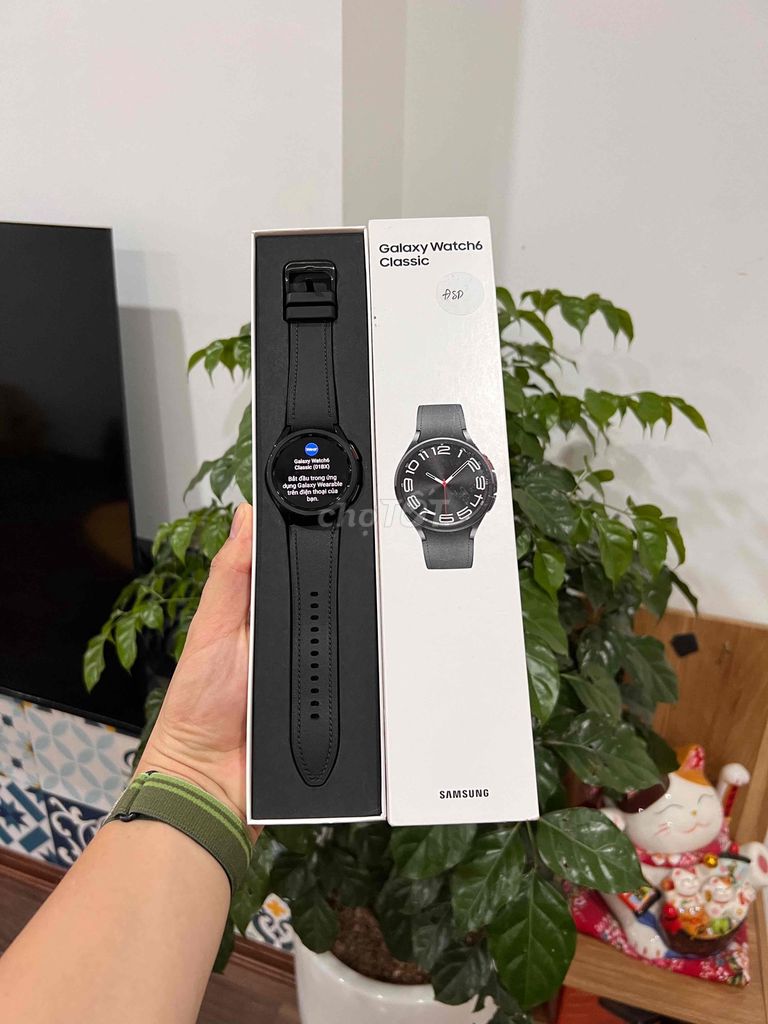 samsung watch 6 43mm lte