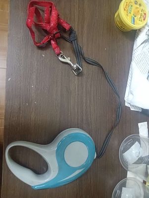 Dây dắt chó mèo. Mua bán Phụ kiện, Thức ăn, Dịch vụ tại Huyện Thanh Trì Hà Nội được đăng bởi Đạt Nguyễn