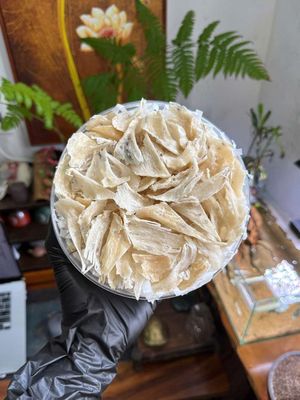 Tổ yến thô chân que 200 gram. Mua bán Đồ ăn, thực phẩm và các loại khác tại Quận Gò Vấp Tp Hồ Chí Minh được đăng bởi BÙI THỊ YẾN OANH 