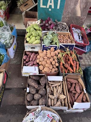 [LÀM NGAY] TUYỂN NỮ BÁN RAU ĐÀ LẠT TẠI PHÚ NHUẬN