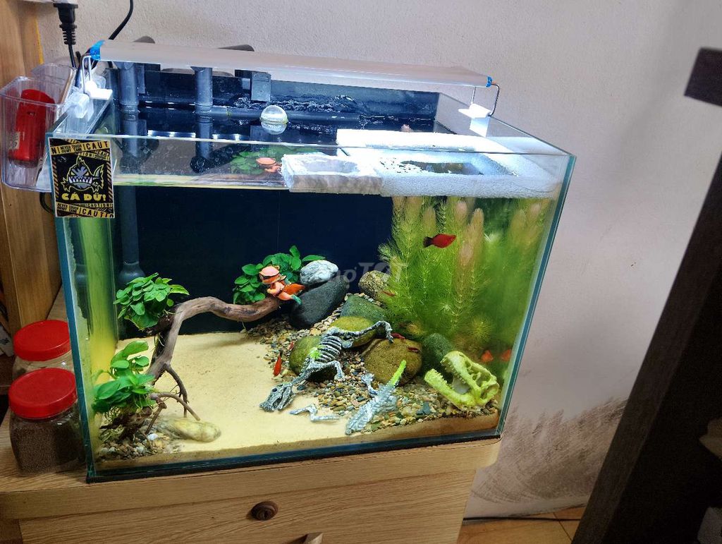 Bể cá cảnh 40x30 cm. Mua bán Thú cưng khác tại Quận Hoàng Mai Hà Nội được đăng bởi Nguyễn Trung Thành hình 1