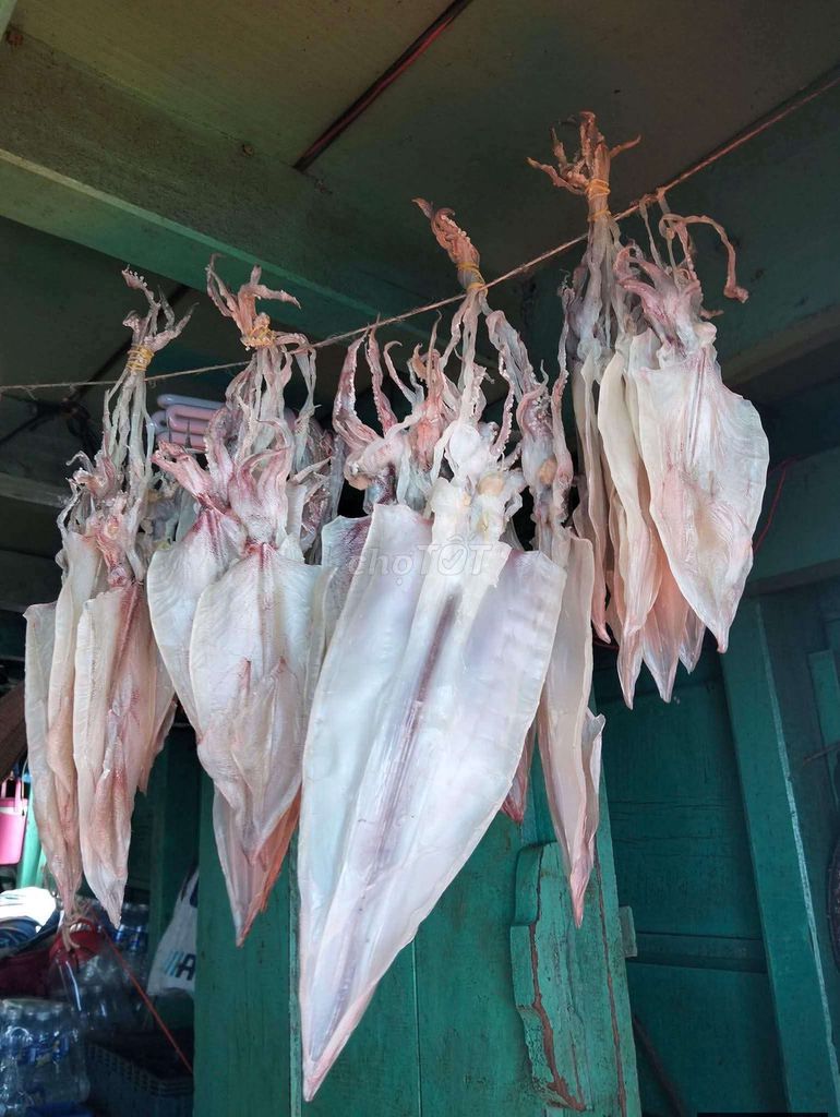 Mực khô 5-6 ngón tay. Mua bán Đồ ăn, thực phẩm và các loại khác tại Huyện Gò Công Tây Tiền Giang được đăng bởi Lê Thị Ý Nhi hình 1