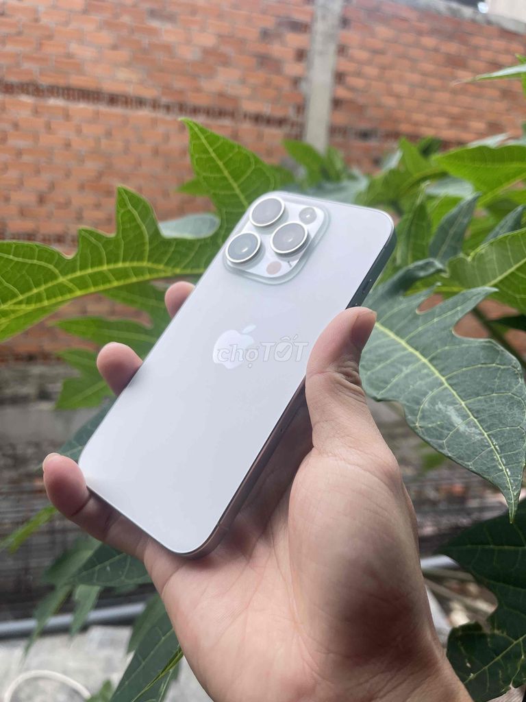 iPhone 15 Pro 256GB Trắng Màn thay Zin bóc. Mua bán Điện thoại tại Huyện Thống Nhất Đồng Nai được đăng bởi Nguyễn thanh kiên hình 1