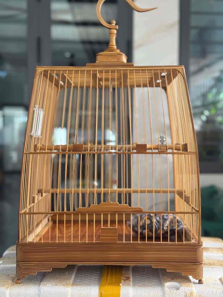 Thái cao tre già kéo tia. Mua bán Phụ kiện, Thức ăn, Dịch vụ tại Thành phố Thủ Đức Tp Hồ Chí Minh được đăng bởi Quang Huy hình 1