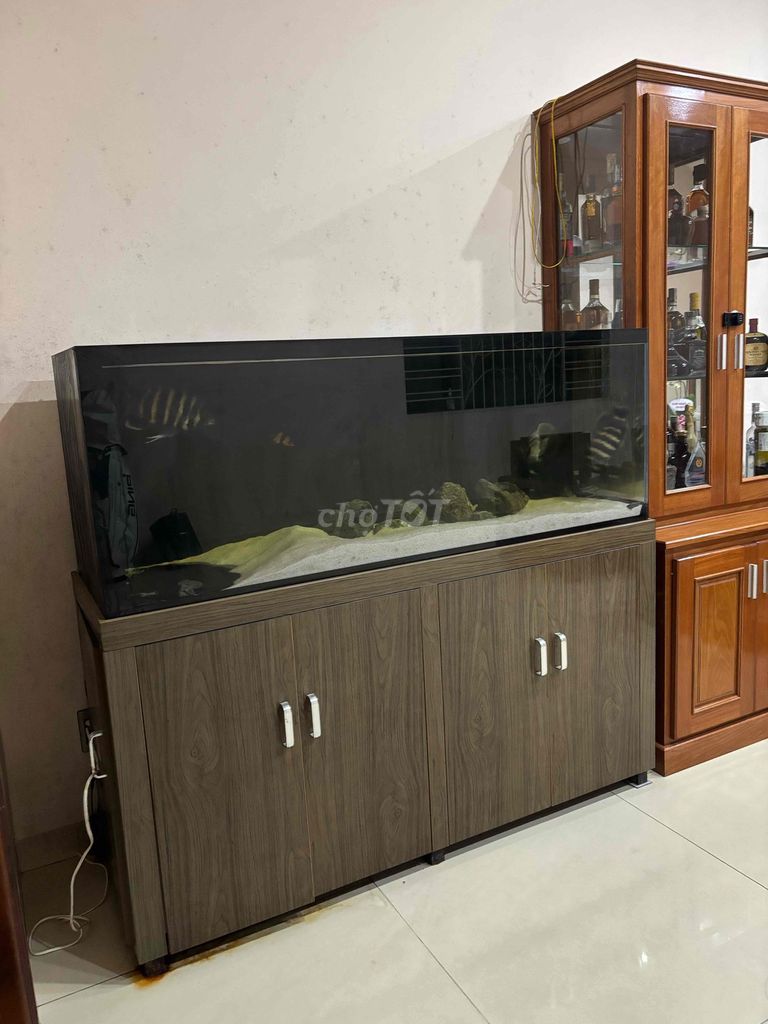 Hồ cá 1m53x1m37 x 550 Kèm tủ lọc xịn. Mua bán Phụ kiện, Thức ăn, Dịch vụ tại Quận Ngũ Hành Sơn Đà Nẵng được đăng bởi 32le hình 1