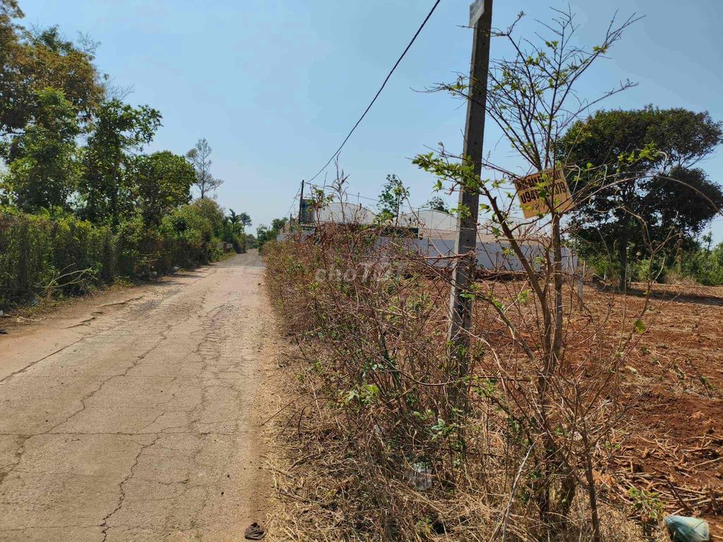 đất ngã 3 cây phượng Cưsue ngay khu công nghiệp Tân An Tỉnh Lộ 8, Xã Cư Suê, Huyện Cư Mgar, Đắk Lắk Huyện Cư Mgar Đắk Lắk