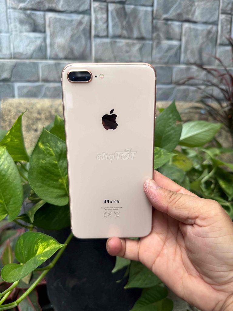 Apple iPhone 8 Plus Vàng hồng. Mua bán Điện thoại tại Huyện Hóc Môn Tp Hồ Chí Minh được đăng bởi Sonle hình 1