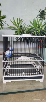 Lồng chim nhựa nhỏ Đen Trắng. Mua bán Phụ kiện, Thức ăn, Dịch vụ tại Quận 12 Tp Hồ Chí Minh được đăng bởi Tân Dương 
