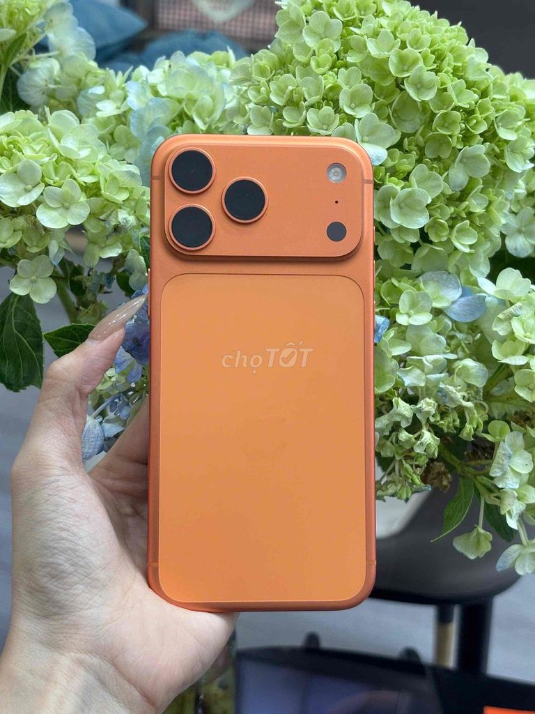 17 Pro Max 256GB Cam Mỹ Lock pin 100 zin đẹp 98%. Mua bán Điện thoại tại Quận Ninh Kiều Cần Thơ được đăng bởi Quý Mobile Cần thơ hình 1