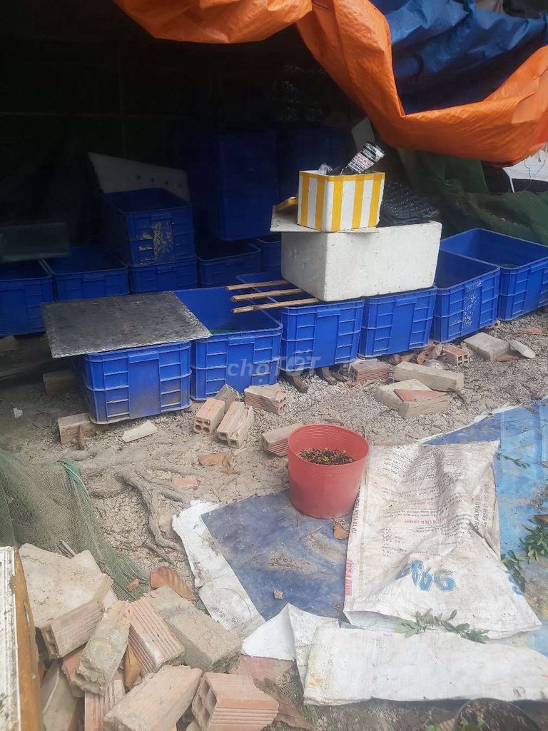 Cần ra đi 22 cái khay 60l. Mua bán Thú cưng khác tại Quận Ô Môn Cần Thơ được đăng bởi Hoàng Anh hình 1
