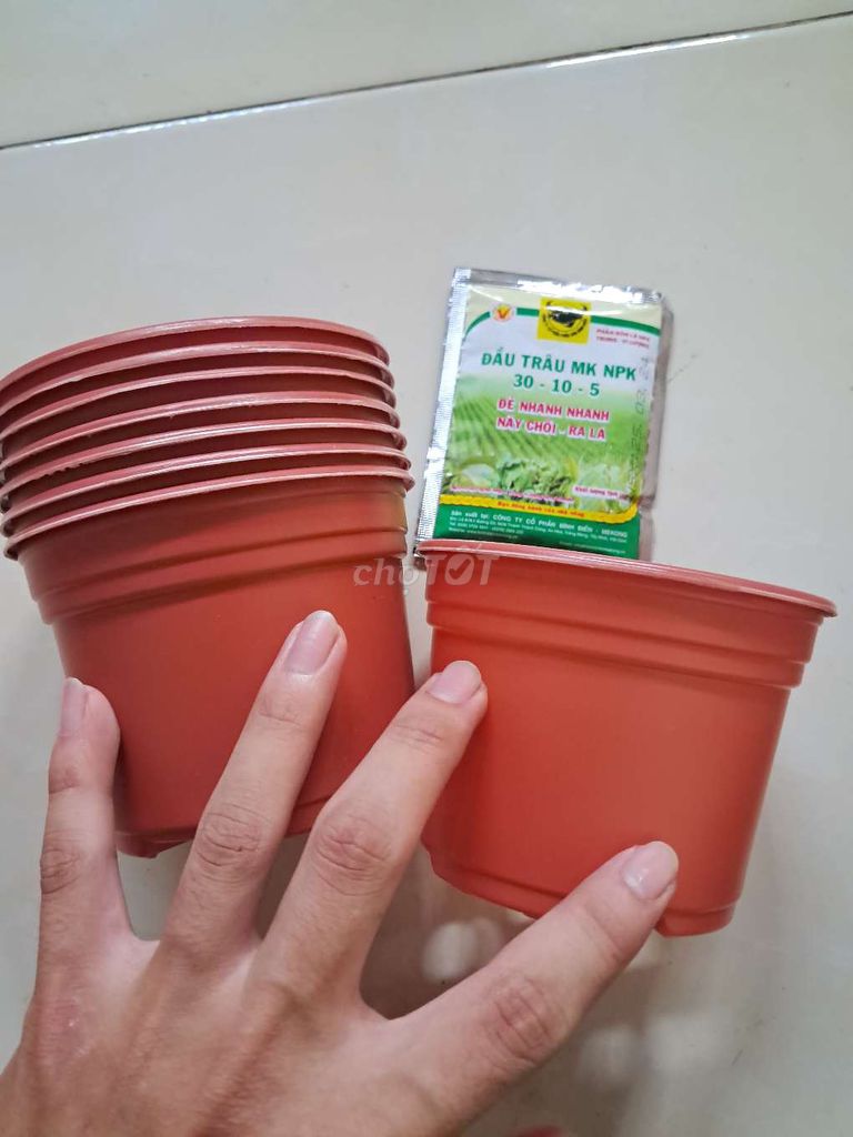 Chậu ươm cây nhựa Nâu đất. Mua bán Cây cảnh, đồ trang trí tại Huyện Ba Tri Bến Tre được đăng bởi hoainhan hình 1