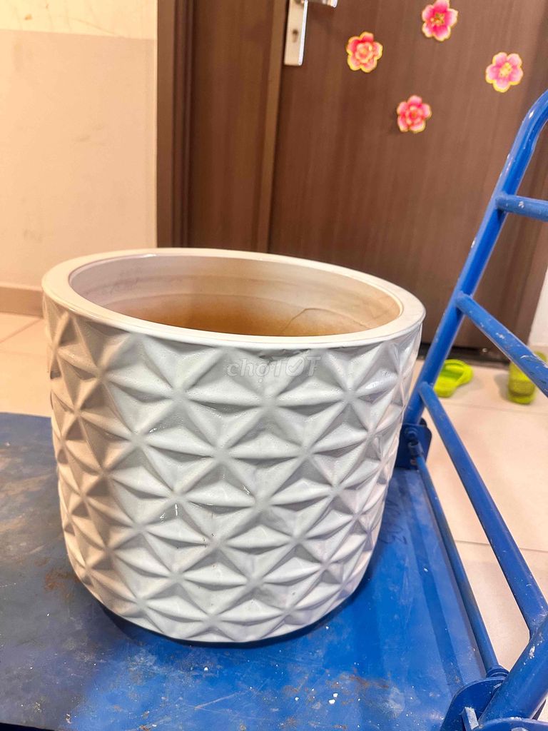 Chậu cây gốm sứ trắng 37x32 cm. Mua bán Cây cảnh, đồ trang trí tại Quận 11 Tp Hồ Chí Minh được đăng bởi Thao Nguyen hình 1