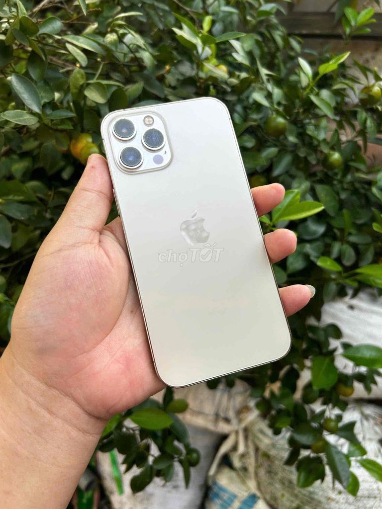 Apple iPhone 12 Pro Max 256GB Vàng MÁY KENG 2 sim. Mua bán Điện thoại tại Thành phố Sa Đéc Đồng Tháp được đăng bởi trần văn mai hình 1
