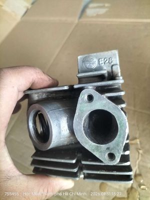 đầu lòng dream thuốc