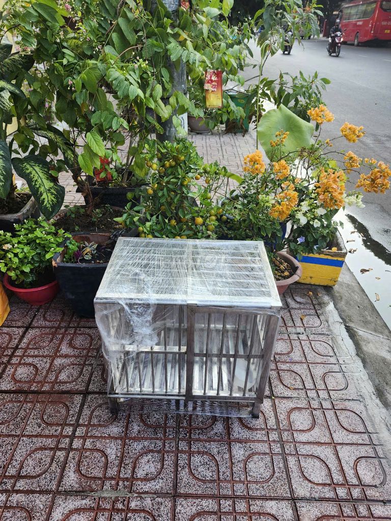 Lồng vận chuyển chó mèo Inox. Mua bán Phụ kiện, Thức ăn, Dịch vụ tại Huyện Bình Chánh Tp Hồ Chí Minh được đăng bởi CÔNG TY TNHH THƯƠNG MẠI TRUYỀN PHÁT hình 1