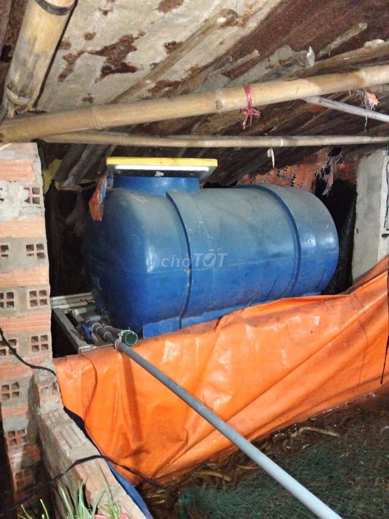 Bồn chứa nước 500 lít Xanh. Mua bán Nội thất, đồ gia dụng khác tại Huyện Củ Chi Tp Hồ Chí Minh được đăng bởi Thiên Đường Tình  Yêu hình 1