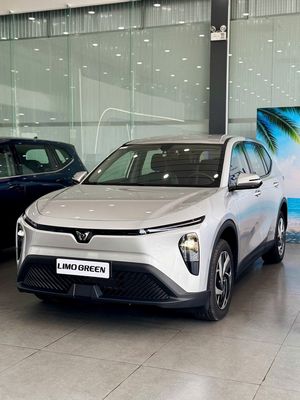 VinFast Limo Green TRẢ TRƯỚC 40TR voucher 80tr