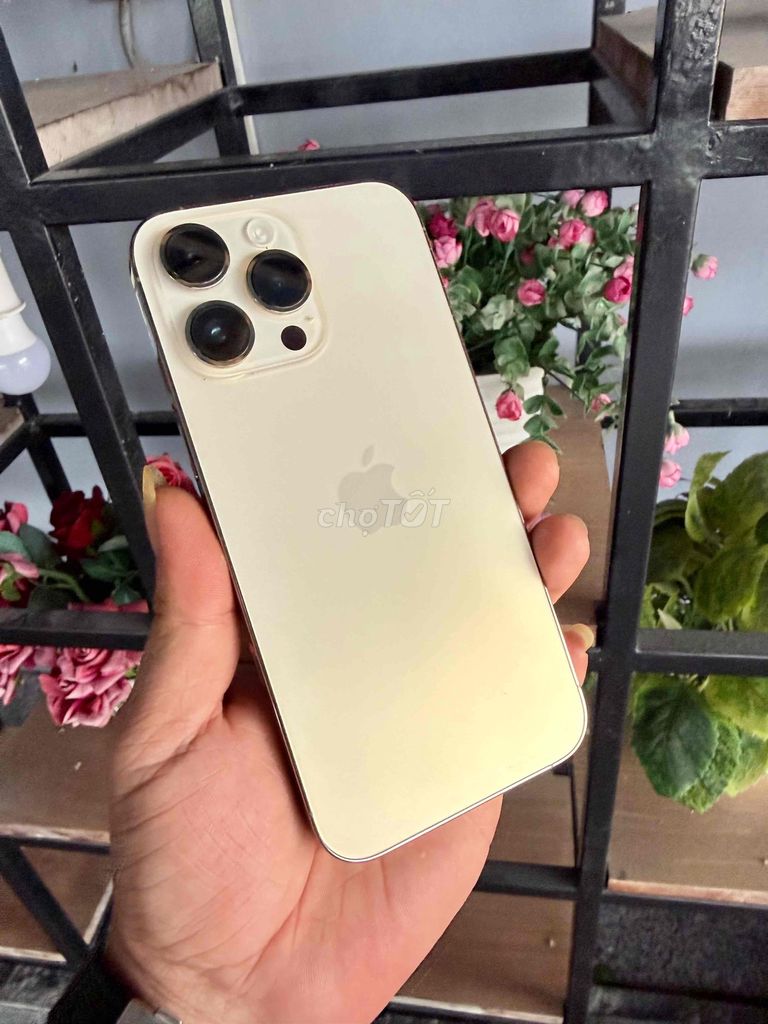 Apple iPhone 14 Pro Max 256GB Vàng. Mua bán Điện thoại tại Thành phố Cà Mau Cà Mau được đăng bởi Nguyễn An hình 1