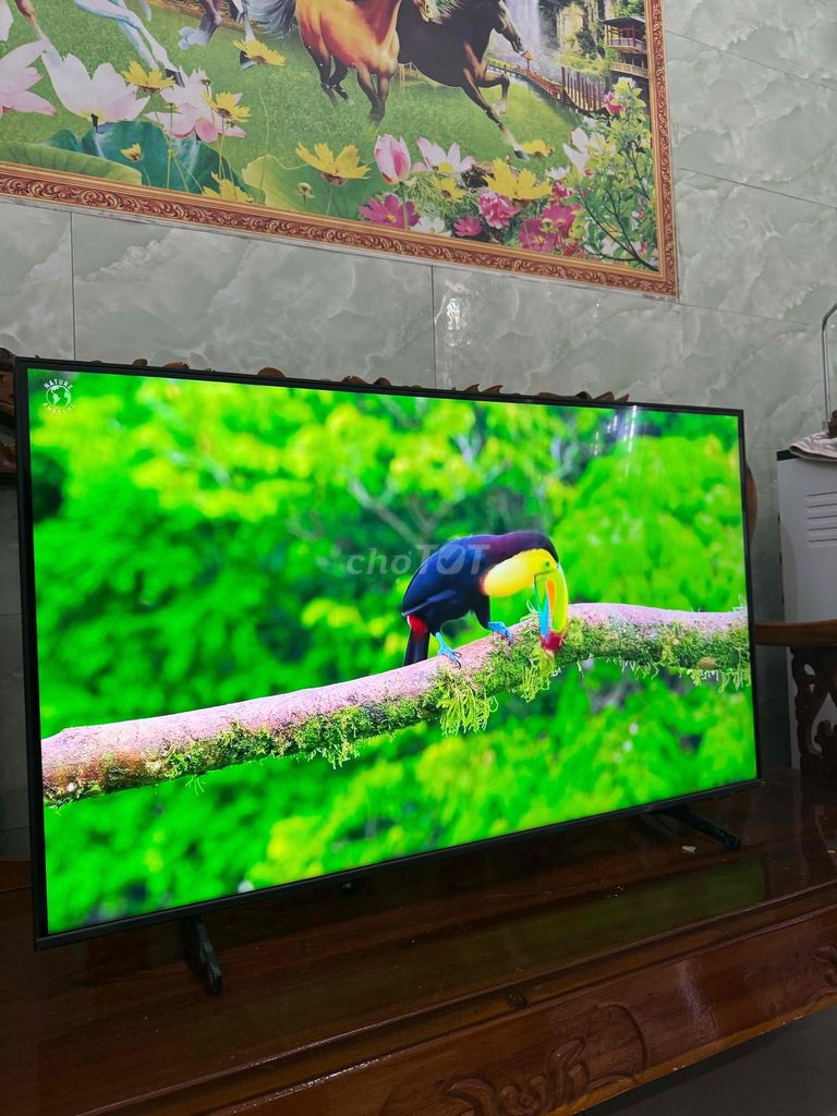 Tivi 43in samssung. Mua bán Tivi, Âm thanh tại Thành phố Vũng Tàu Bà Rịa - Vũng Tàu được đăng bởi MÁY CHIẾU VŨNG TÀU hình 1