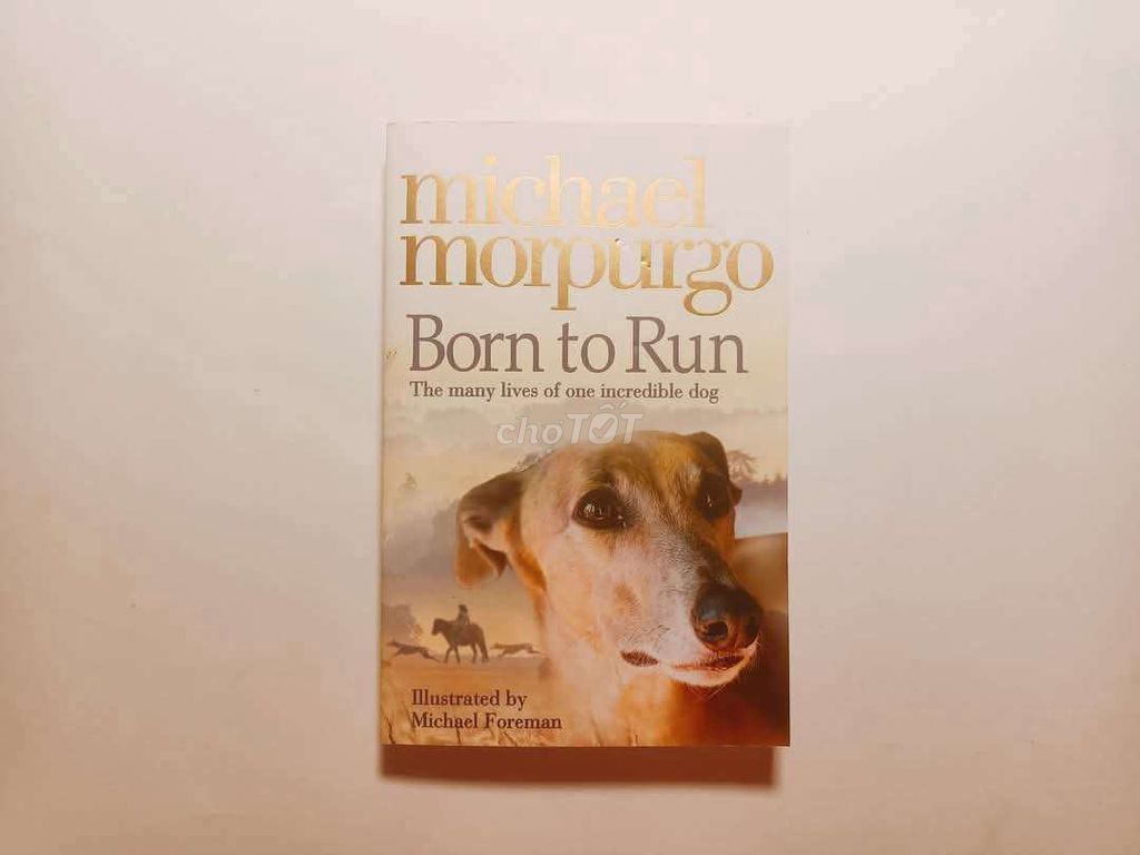 Sách Born To Run Michael Morpurgo. Mua bán Sách tại Quận Thanh Khê Đà Nẵng được đăng bởi Kim Long Book hình 1