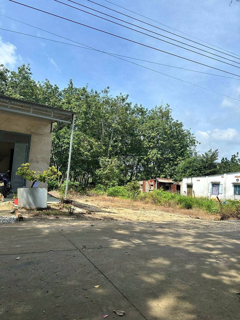 đất gần trường gần chợ dân đông. Mua bán đất tại Huyện Phú Giáo Bình Dương được đăng bởi Tâm Như hình 2