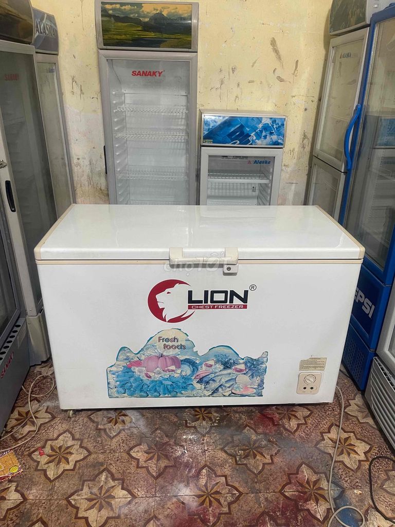 tủ cấp đông LILon 500l 1 cánh nguyên đông mới80%