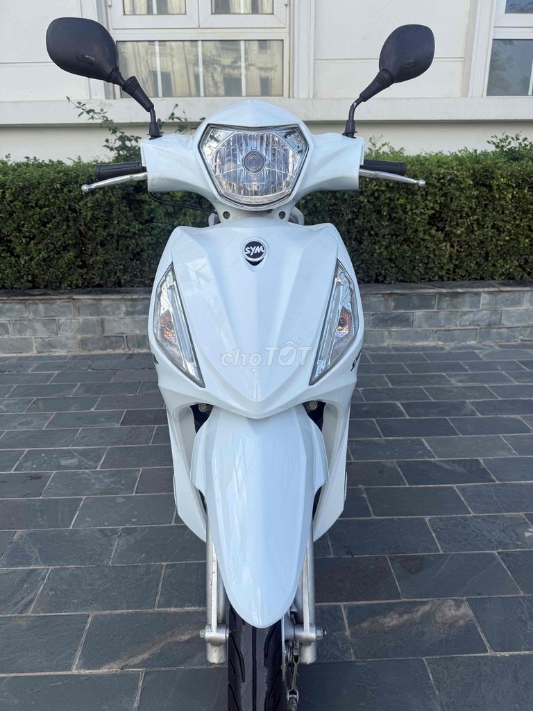 SYM Shark 50 куб. см 2023 Белая