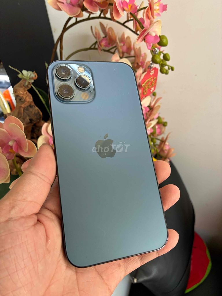 Apple iPhone 12 Pro Max 128GB Xanh. Mua bán Điện thoại tại Thành phố Buôn Ma Thuột Đắk Lắk được đăng bởi Tèo Điện Thoại  hình 1