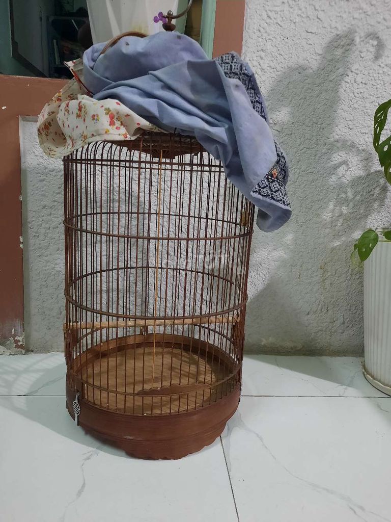 Thanh lý giá rẻ 2 lồng chim chòe đất 30*40cm. Mua bán Phụ kiện, Thức ăn, Dịch vụ tại Huyện Hóc Môn Tp Hồ Chí Minh được đăng bởi Yuki hình 2
