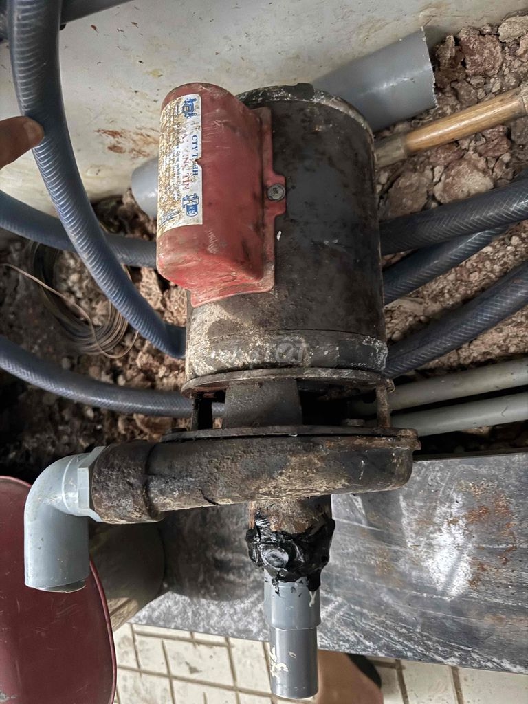 máy bơm nước 1,5HP bơm giếng  , hút nước sông. Mua bán Thiết bị vệ sinh, nhà tắm tại Huyện Củ Chi Tp Hồ Chí Minh được đăng bởi Cao Kim Tuyển hình 1
