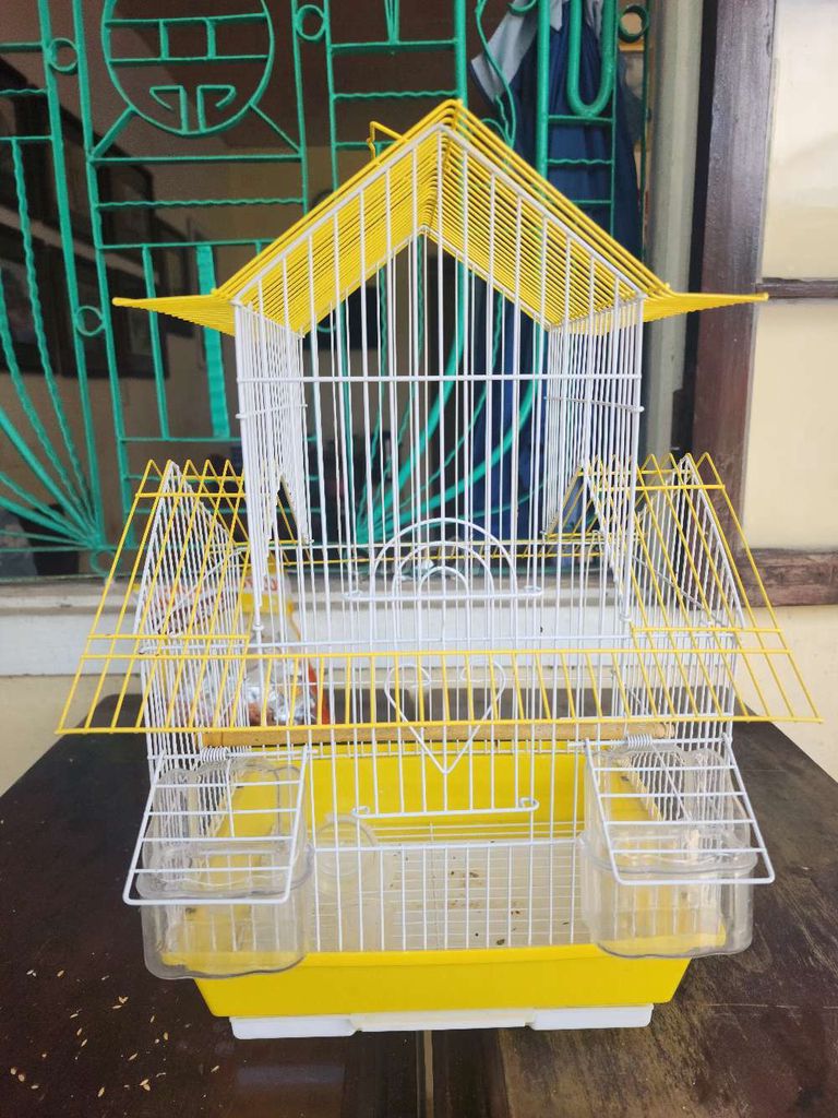 Lồng chim Kim loại, Nhựa Rất mới. Mua bán Phụ kiện, Thức ăn, Dịch vụ tại Thành phố Huế Thừa Thiên Huế được đăng bởi việt thắng hình 1