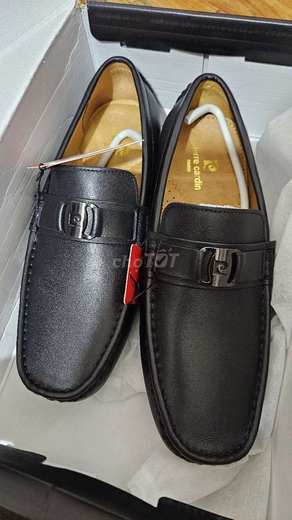 Thanh lý đôi Pierre Cardin size 40 mới fullbox