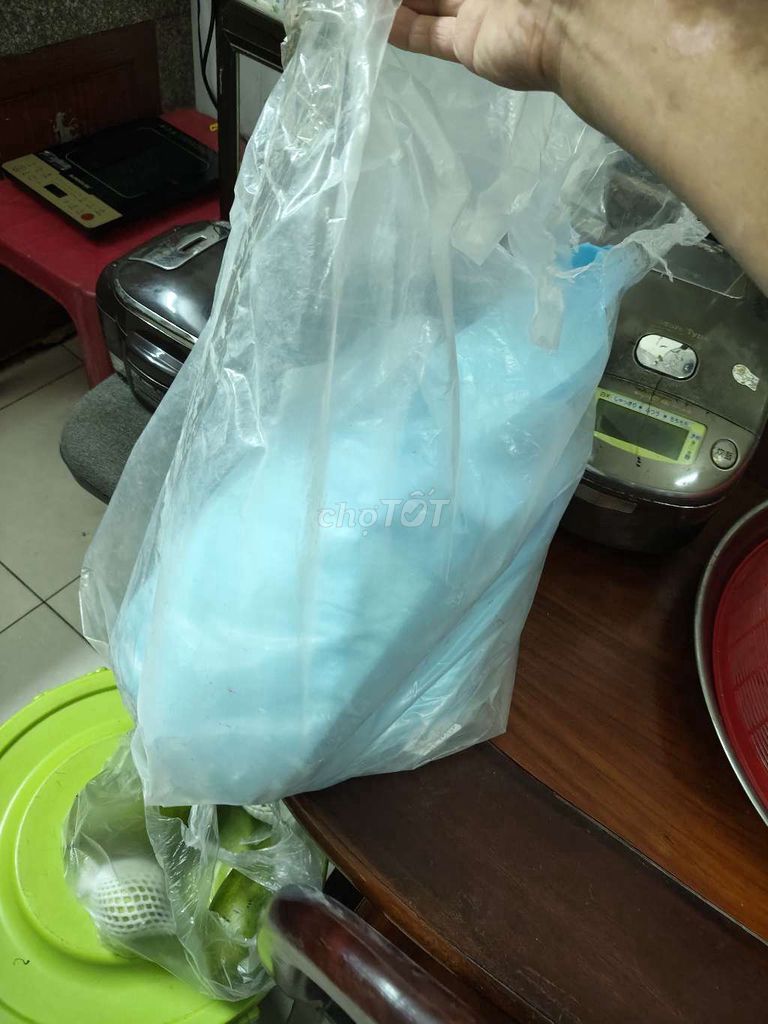 Đệm lót y tế Caryn Xanh trắng. Mua bán Giường, chăn ga gối nệm tại Huyện Hóc Môn Tp Hồ Chí Minh được đăng bởi pham van nha hình 1