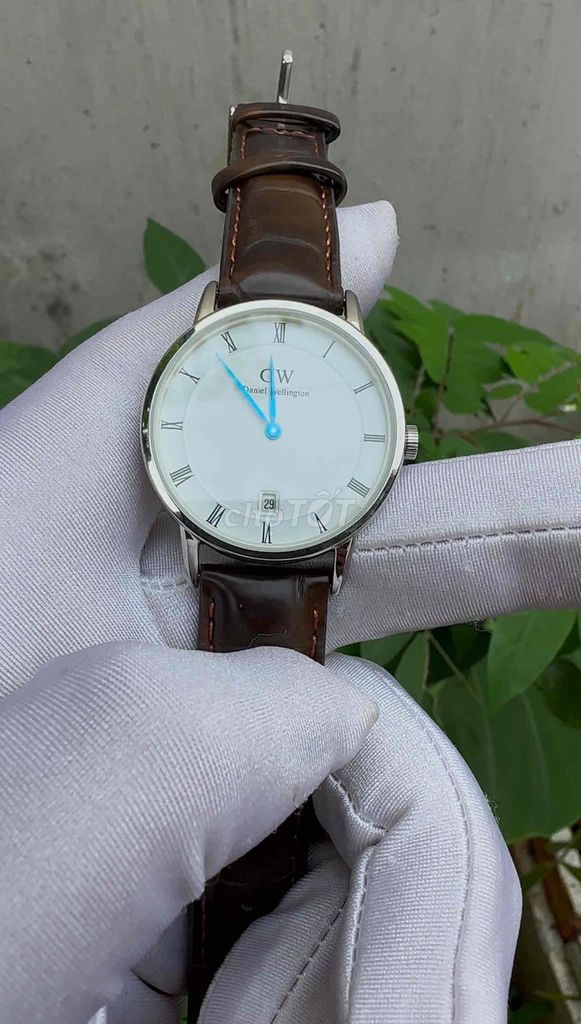 dw nữ size 33