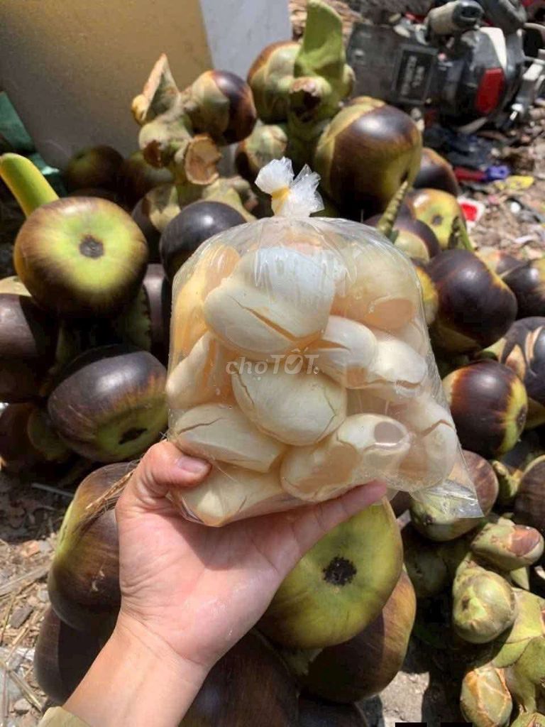Thốt nốt tươi. Mua bán Đồ ăn, thực phẩm và các loại khác tại Huyện Hoằng Hóa Thanh Hóa được đăng bởi Lê Phương Thảo hình 1