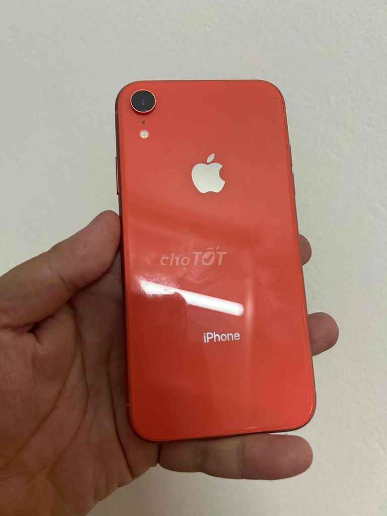 Apple iPhone Xr 64GB Cam. Mua bán Điện thoại tại Quận Đống Đa Hà Nội được đăng bởi BBB hình 1