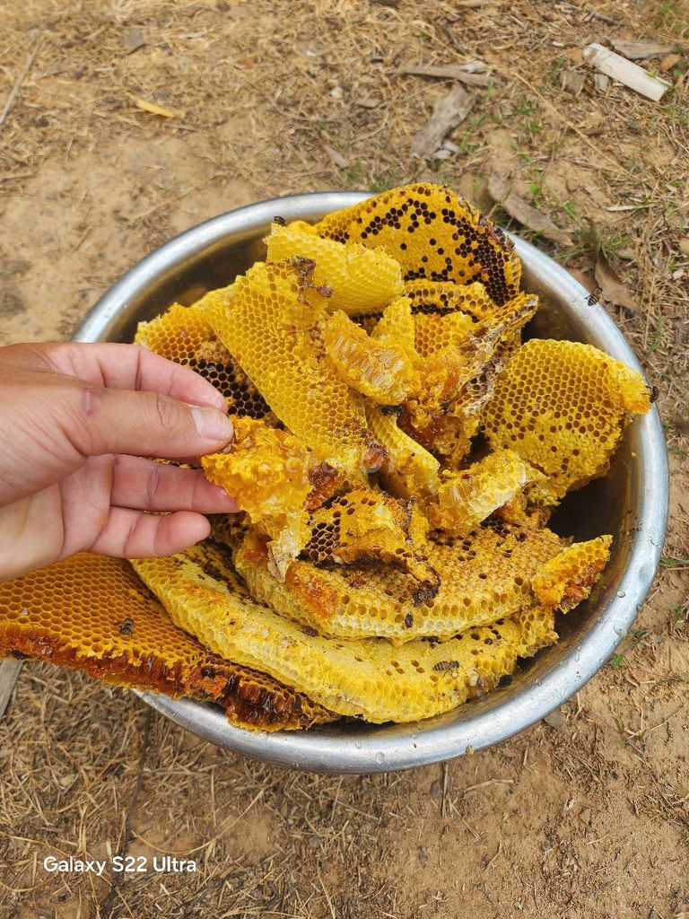 mật ong. Mua bán Đồ ăn, thực phẩm và các loại khác tại Huyện Krông Năng Đắk Lắk được đăng bởi hưng hình 3